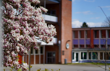 Blick über den Schulhof mit Magnolie